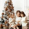 COZONY 25-Piece 6cm Velvet Christmas Ornament Balls Set for Tree and Home Decor - 4 of 4