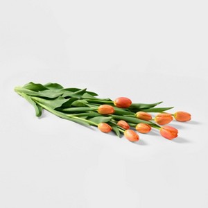 Mother's Day 10-Stem Tulips - Good Little Garden™ - 1 of 3