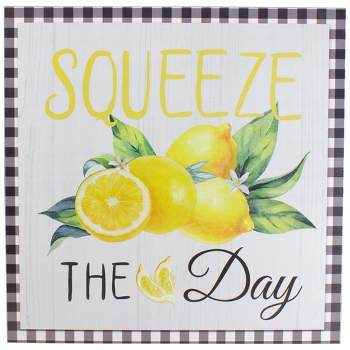 Northlight White and Black Gingham "Squeeze the Day" Decorative Lemon Wall Art 13.75"