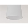 Nuvo Lighting Laguna 1 - Light Pendant in  Brushed Nickel - 4 of 4