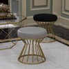 Fabulaxe Modern Round Velvet Stool with Bent Gold Metal Base Standard Ottoman, Grey - 4 of 4