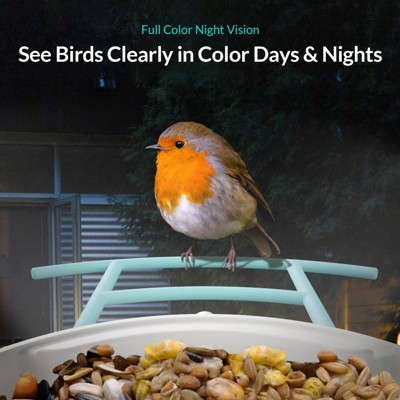 Blue and White Plastic Post-Mounted Bird Feeder with HD Camera