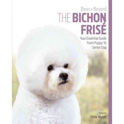 Bichon Frise