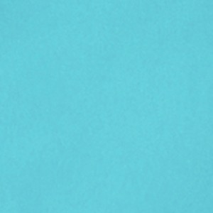 light blue/light blue