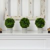 Nearly Natural 9-in Boxwood Artificial Mini Topiary (Set of 3) - 3 of 3