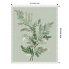 Amanti Art Tonal Green Ferns I by Elizabeth Medley Canvas Wall Art Print Framed 16 x 20-in. - 4 of 4