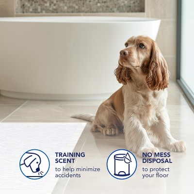 Scott Pet Guard Extra Large Unscented Dog Training Pads - 30" x 36" - 20 Pack
