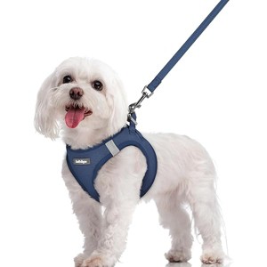 rabbitgoo Dog Harness Small Sized and Leash Set, Step in Soft Light Puppy Pet Harness, Reflective for Safe Outdoor Walking, Navy Blue M - 1 of 1