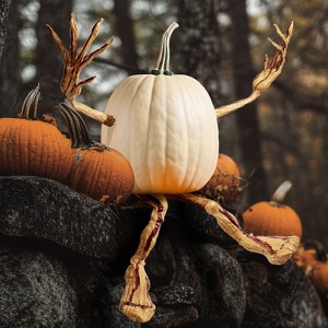 Joyfy Bendable Pumpkin Arms and Legs, Halloween Decorations for Pumpkin, Set of 4 Party Decor Includes 2 arms and 2 Legs Pumpkin Stake Supplies - 1 of 4