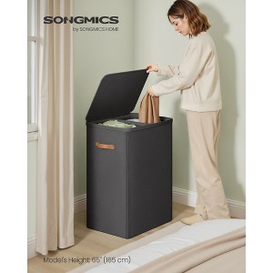 44.9 Gal Large Laundry Hamper with Lid, 2 Compartment Dirty Clothes Basket, Removable Inner Bags & Handles, 22x15.7x29.5 Inches - 1 of 4