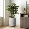 LuxenHome Speckled Gray and Off-White Textured Round Tapered 22-Inch Tall MgO Planter, Indoor and Outdoor - 3 of 4