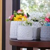 KTMBDW Ceramic Planter Pot Set of 2, Modern Flowerpot with Drainage Hole and Saucer, Embossed Leaf Design Flowerpot for Patio, Garden - 4 of 4