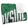 University Of Wisconsin Parkside Fan Zone Silky Touch Super Soft Throw Blanket 50x60 - 3 of 4