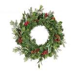 National Tree Company First Traditions Pre-Lit Christmas Evergeen Wreath with Pinecones and Berries, Warm White LED Lights, Battery Operated, 24 in