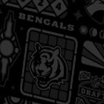 cincinnati bengals