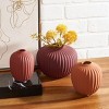 Jacie Ceramic Vase Set Of 3 - RDC4000 - Safavieh - 2 of 4