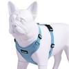Voyager Step-In Lock Adjustable Dog & Cat Harness for All Breeds, Breathable Mesh, Baby Blue, XS - 3 of 4