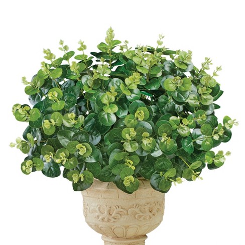 Collections Etc Eucalyptus Bushes Set Of 3 : Target