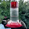 Nature's Way Bird Product Charming Cherry Glass Hummingbird Feeder 7" - Red - 4 of 4