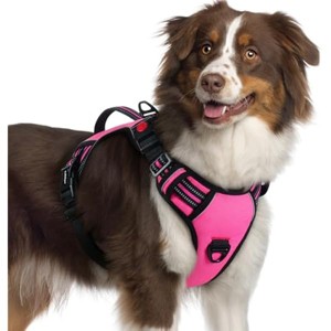 rabbitgoo Dog Harness for Large Dogs, , Easy Walking Harness with 2 Leash Clips, Pink, XL - 1 of 1