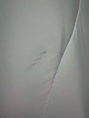 Guest review image 2 of 2, zoom in