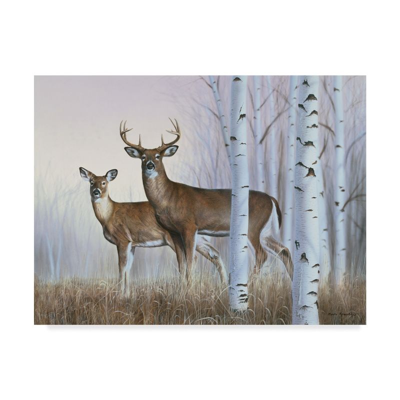 Trademark Fine Art -Rusty Frentner 'Deer In Birch Woods' Canvas Art, 2 of 4