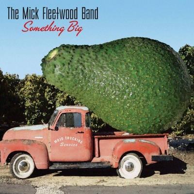 Fleetwood, Mick Blues Band - Something Big (CD)