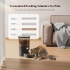 Programmable Automatic Pet Feeder with Dual Power, Timed Food Dispenser for 1-6 Meals Daily - 2 of 4