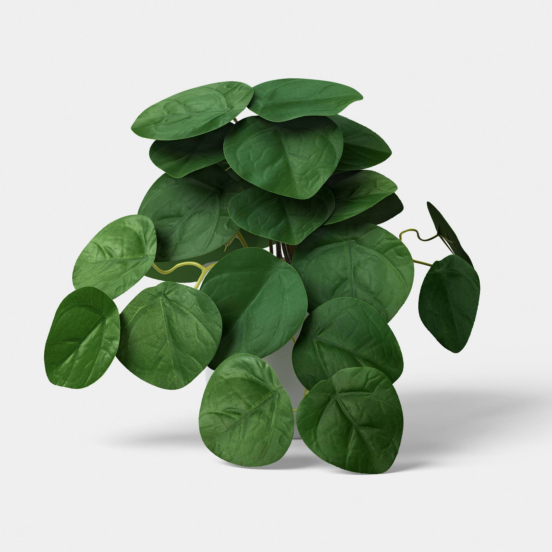 8" Pilea Mini Arrangement - Room Essentials™