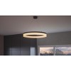 Cohen Integrated LED Pendant Light - 3 of 4
