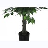 Artificial Plant, 58" Tall, Ficus Tree, Indoor, Faux, Fake, Floor, Greenery, Potted, Decorative, Green Leaves, Black Pot - 3 of 4