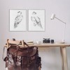Stupell Industries White Hawk Winter Birds, 16" x 20" - 2 of 4