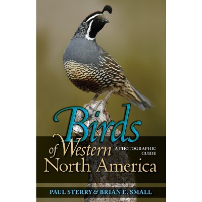 National Geographic Complete Birds of North America, 2nd Edition: A Book  Review - 10,000 Birds