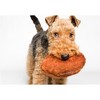 Fluff & Tuff Football Plush Dog Toy - 3 of 4