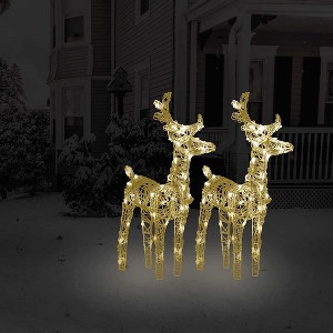 Christmas Reindeer Set of 2 Warm white Acrylic Medium - 1 of 4