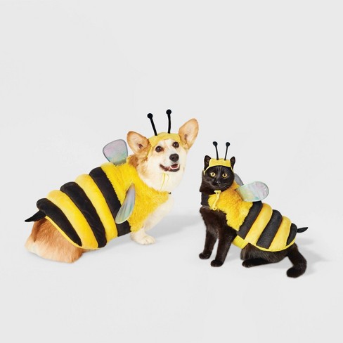 Bumble Bee Halloween Dog And Cat Costume Hyde Eek Boutique Target