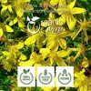 Organic St. John'S Wort Whole 1 Lbs - 4 of 4