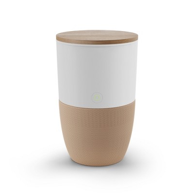 Dupray Bloom Air Purifier | Medical-Grade HEPA-13 Air Filtration
