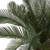 HomeStock  2 ft. Artificial Cycas Tree in Pot for Indoor/Outdoor - 2 of 3