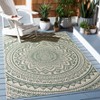 Courtyard CY6734 Power Loomed Indoor/Outdoor Area Rug  - Safavieh - 2 of 4