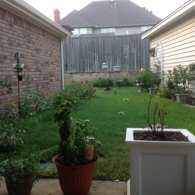 Guest review image 6 of 6, zoom in
