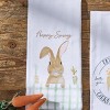Park Designs Easter Dishtowels - 2 of 4