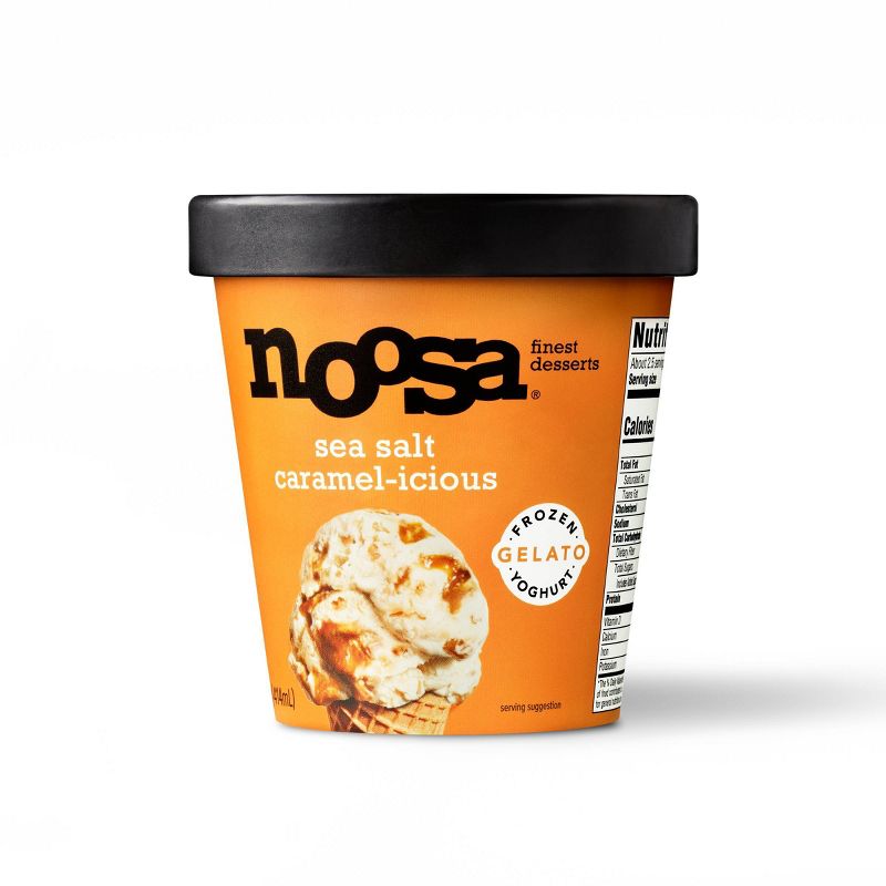 Noosa Frozen Yogurt Gelato Sea Salt Caramel - 14oz, 2 of 13