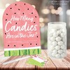 Big Dot of Happiness Sweet Watermelon - How Many Candies Fruit Party Game - 1 Stand and 40 Cards - Candy Guessing Game - 2 of 4