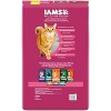 IAMS Proactive Health Adult Urinary Tract Healthy Chicken Flavor Dry Cat Food - 2 of 4