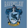 Harry Potter Ravenclaw Crest Long Sleeve Unisex Adult Hooded Sweatshirt - 2 of 2