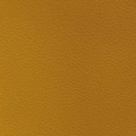 georgia bulldogs uga