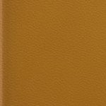 georgia bulldogs uga