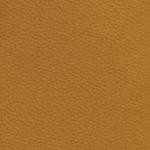 georgia bulldogs uga