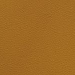 georgia bulldogs uga